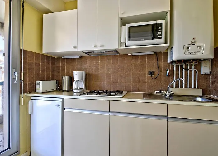 Arcachon: T2 Acces Prive Plage, Balcon, Parking - Fr-1-433-19 Lejlighed *